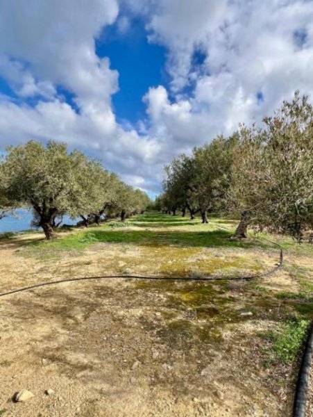 Mochlos Kreta, Mochlos: Grundstück mit Meerblick zu verkaufen Grundstück kaufen